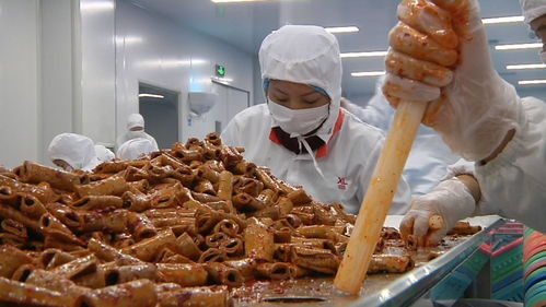揭秘零食工廠 走進良品鋪子荊州生產基地，見證美味誕生之旅